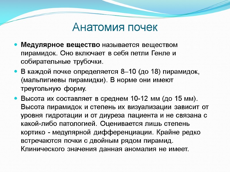 Анатомия почек Медулярное вещество называется веществом пирамидок. Оно включает в себя петли Генле и